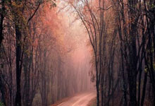 域名投资的秘密有哪些类型的产品,域名投资还有价值吗