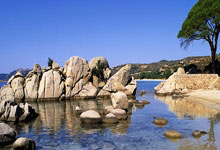 域名售卖什么意思啊啊,域名贩卖