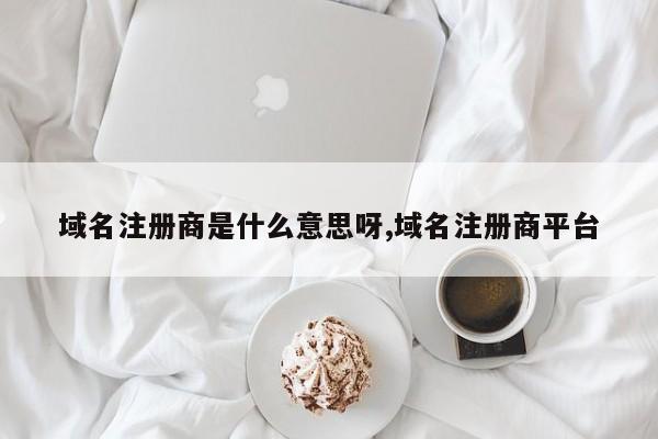 域名注册商是什么意思呀,域名注册商平台