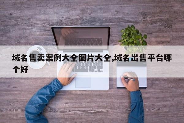 域名售卖案例大全图片大全,域名出售平台哪个好