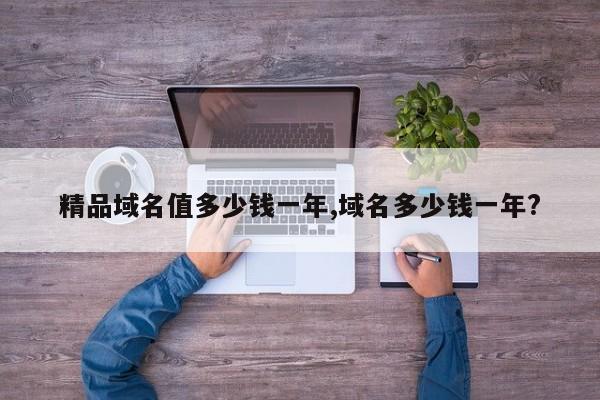 精品域名值多少钱一年,域名多少钱一年?