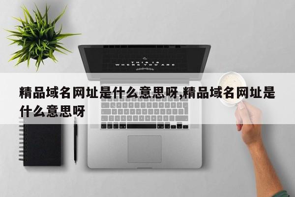 精品域名网址是什么意思呀,精品域名网址是什么意思呀