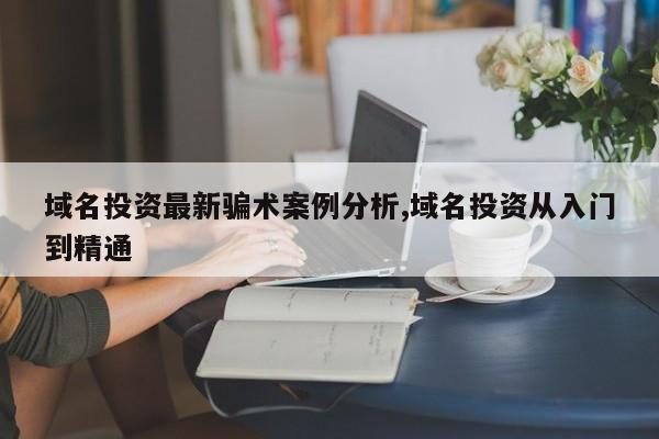 域名投资最新骗术案例分析,域名投资从入门到精通