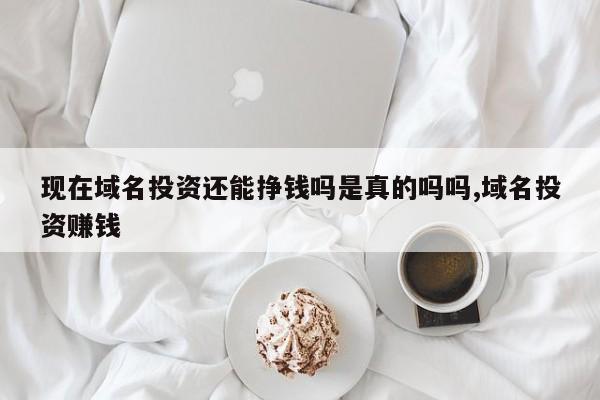 现在域名投资还能挣钱吗是真的吗吗,域名投资赚钱